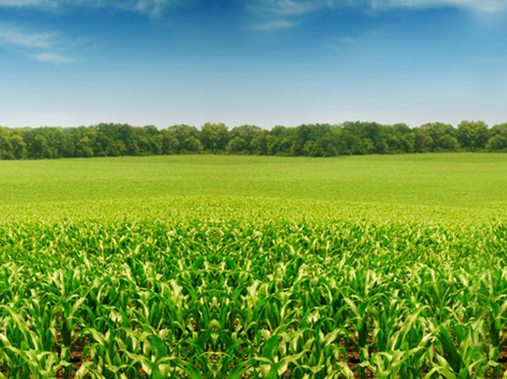 優(yōu)耐美完成北京聯(lián)創(chuàng)種業(yè)有限公司實驗室項目